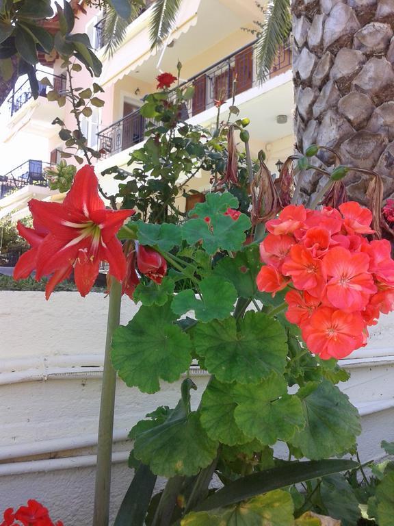 Aggeliki Apartments Никиана Номер фото